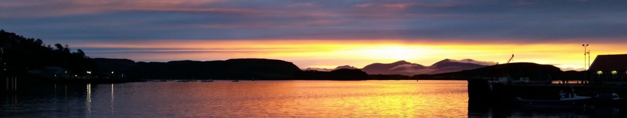 Curious Julie's Colourful Adventures