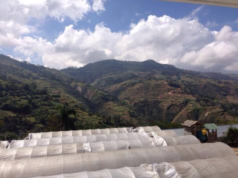 16667619_1252481191494303_675930047_o