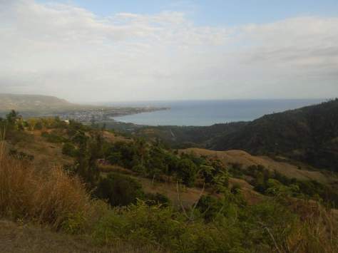 received_1296233827119039